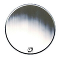 Express Coins w/ Bright Finish (1 9/16" Diameter) 6 Day Delivery